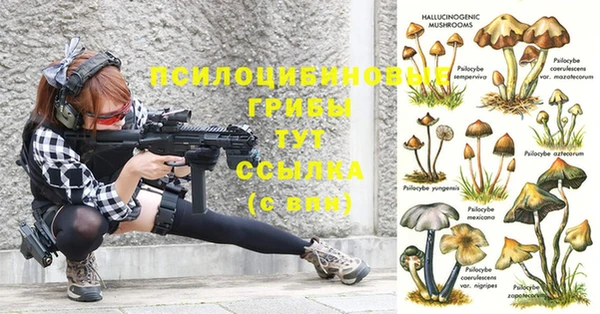гидропоника Аркадак