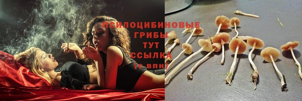 гидропоника Аркадак