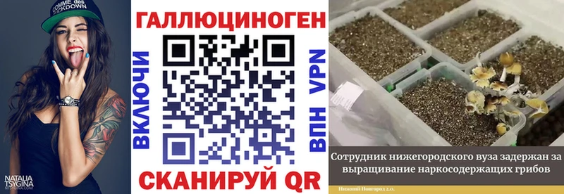 Галлюциногенные грибы Psilocybe  Кукмор 